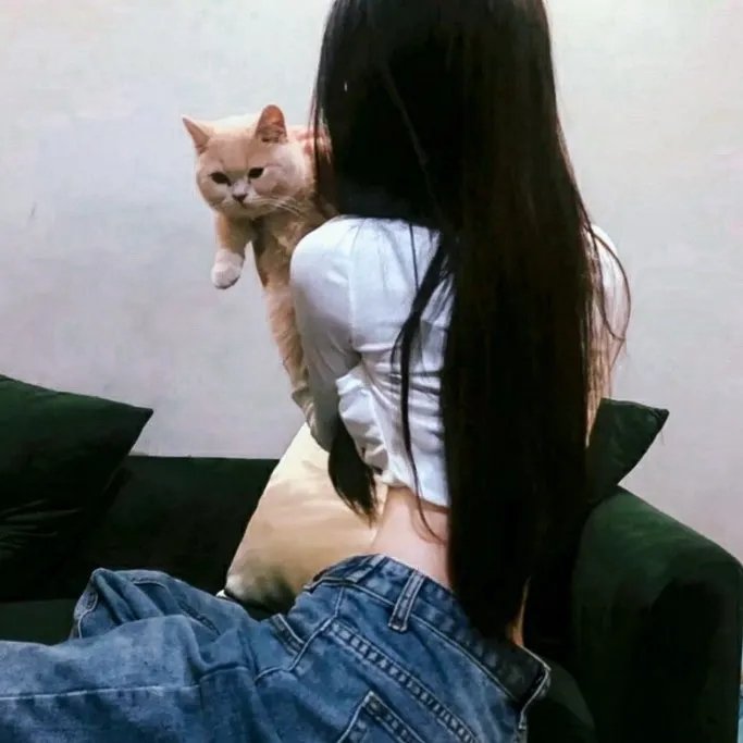 开始推理吧第二季